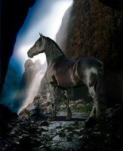 Dream Horses 089