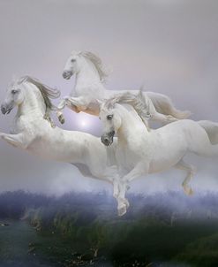 Dream Horses 090