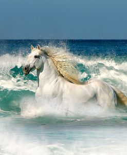 Dream Horses 091