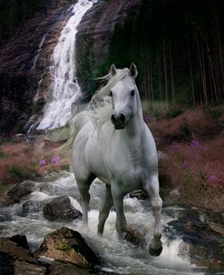 Dream Horses 084