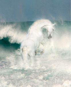 Dream Horses 086