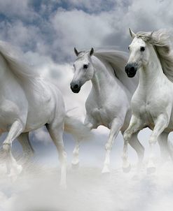 Dream Horses 087