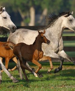 Running Mates