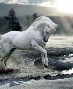 pic103SF Fantasy Horses