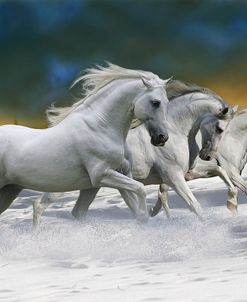 pic105SF Fantasy Horses