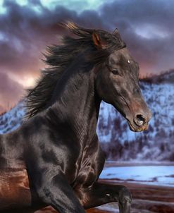 pic106SF Fantasy Horses