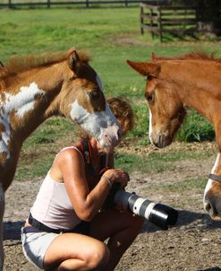A21C2532 Curiosity – Paint & Quarter Horse Foals With Pam, Delclare Quarter Horses, FL