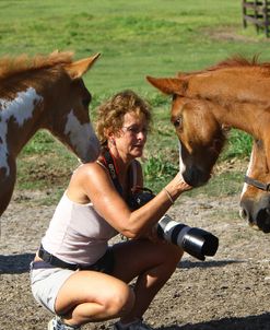 A21C2535 Paint & Quarter Horse Foals With Pam, Delclare Quarter Horses, FL