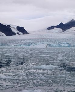 Svalbard Lillehookbreen Glaciers And Mountains 2