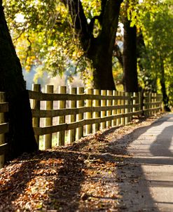 Roadside Fence