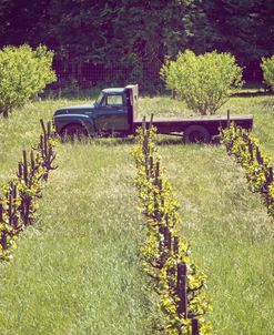 Green Truck