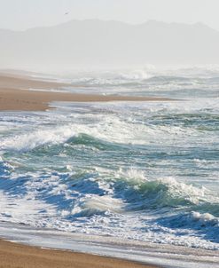 A Walk On The Beach