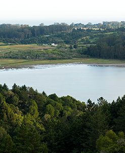 Bolinas in Spring