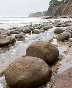 Boulder Strewn Beach