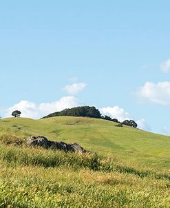 Petaluma Hills