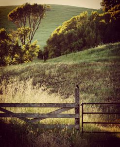 Resting on a Fencepost