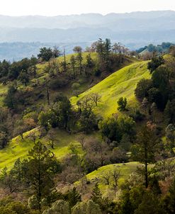 Over the Hill