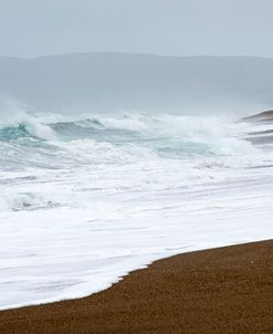 Spring at the Beach