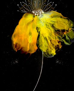 Yellow Flower On Black Paper Alcohol Ink Painting