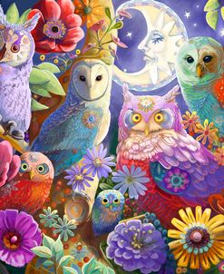 Night Owl Gathering