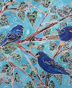 Indigo Buntings