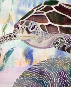 Sea Turtle Beginning