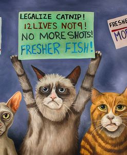 Cats On Strike