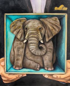 Elephant In A Box