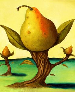 Pear Trees 2