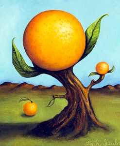 Orange Fruit Tree