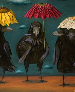 Ravens Rain
