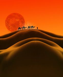Caravan Dream