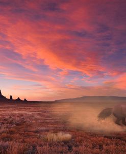 Shiprock Flyer