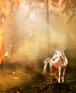 The Last Unicorn