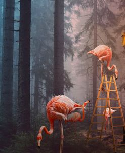 How many Flamingos Does it Take to Change a Light Bulb