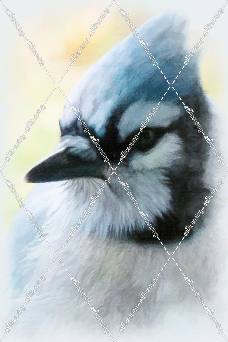 Buzz Two Point O – Portrait Of A Blue Jay