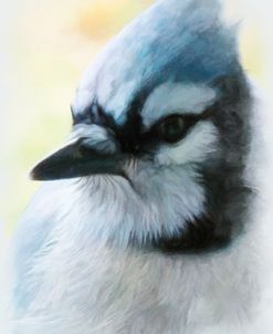 Buzz Two Point O – Portrait Of A Blue Jay