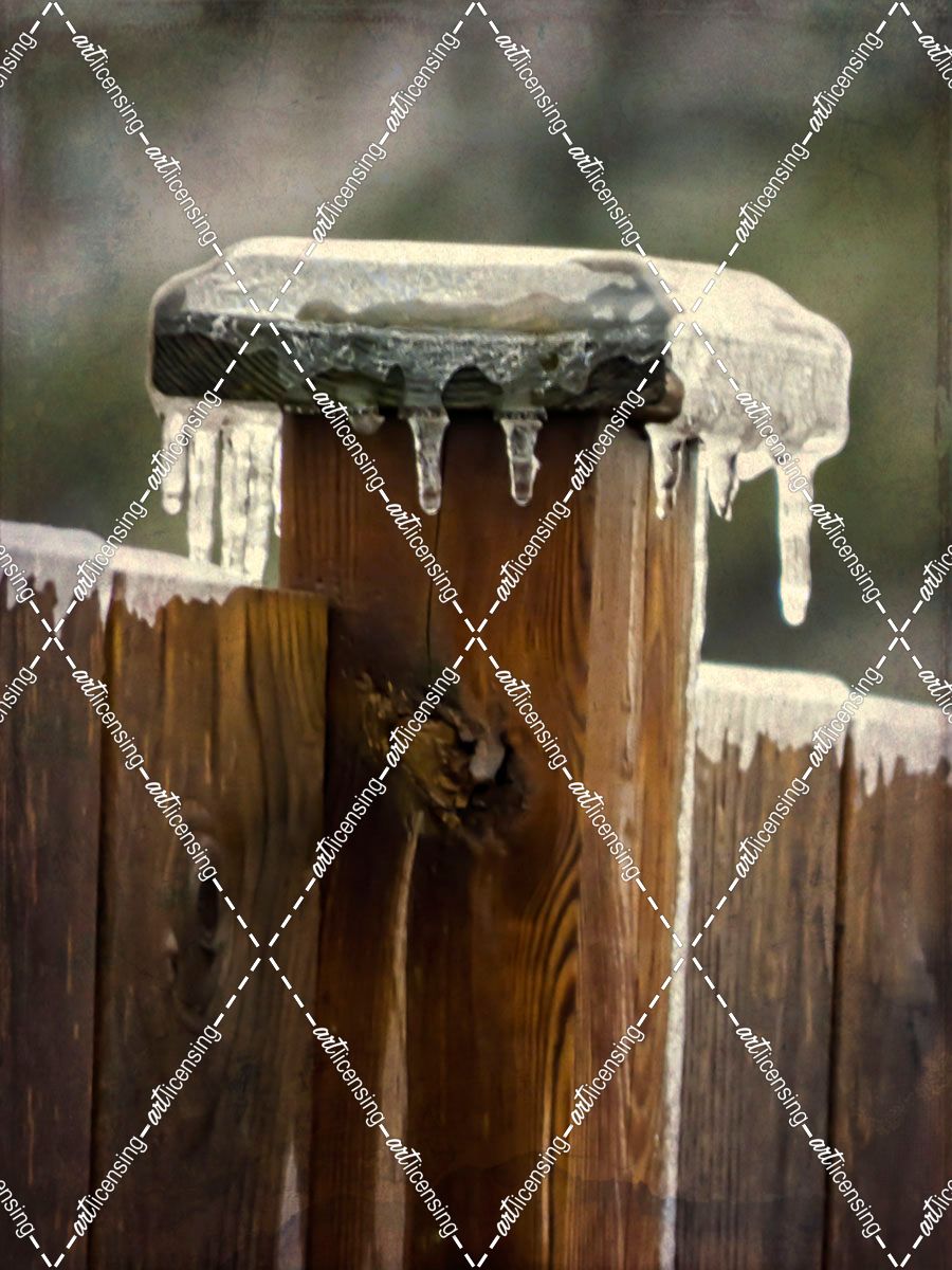 Winter Spectacular – Fence Post