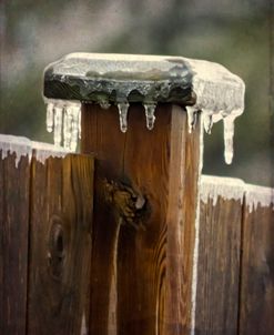 Winter Spectacular – Fence Post