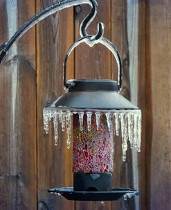 Winter Spectacular – Garden Lantern