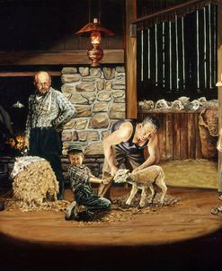 Shearing of a Pet