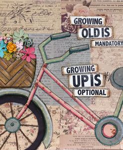 Bike Growing Old
