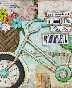 Bike Too Wonderful