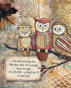 Wise Owls