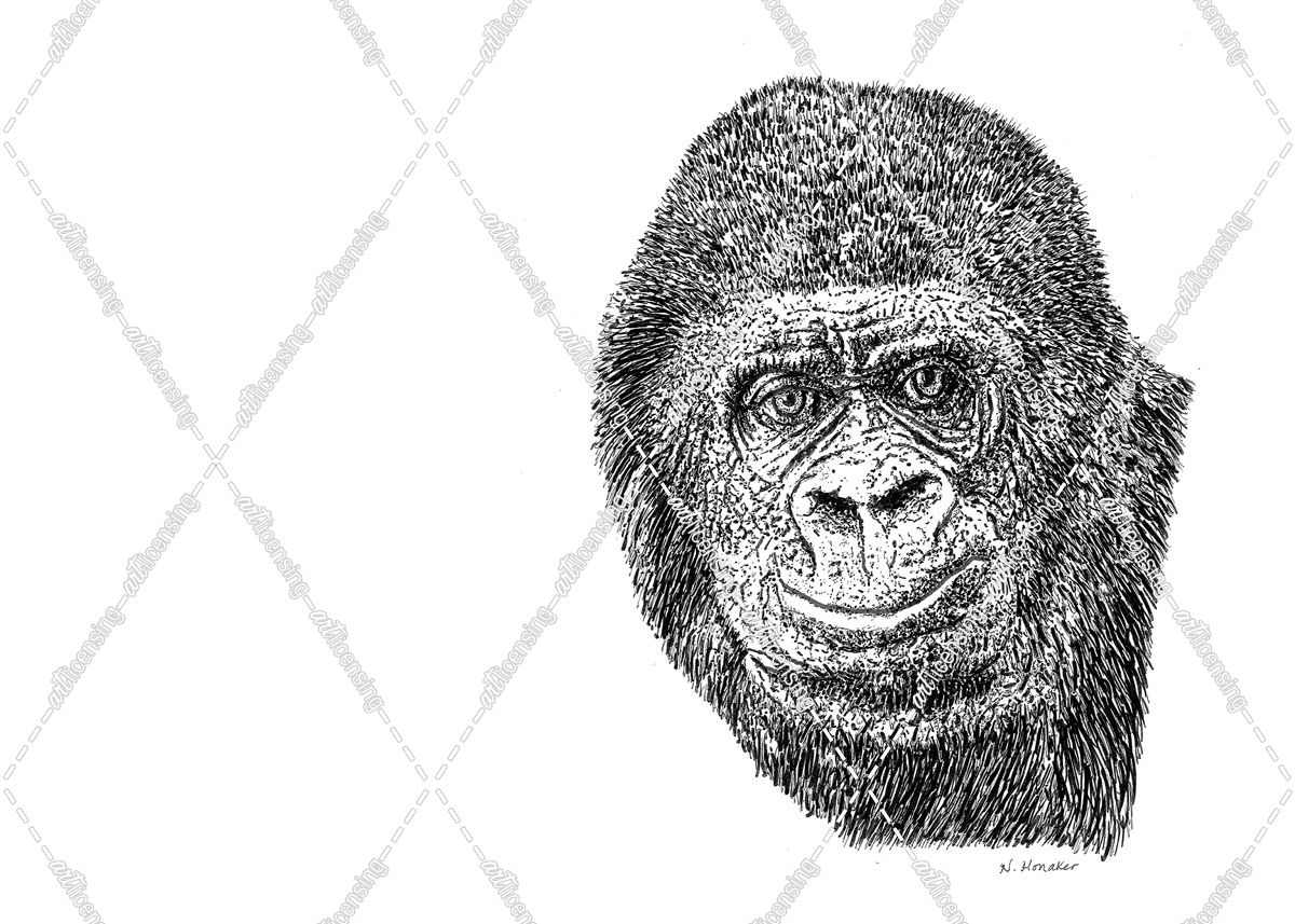 Z11 Gorilla