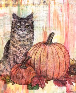 Cat and Pumpkins