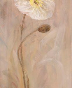 Poppies I