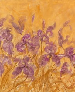 Irises I