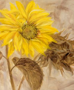 Sunflower I