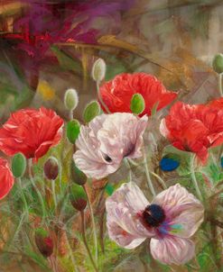 Poppies III